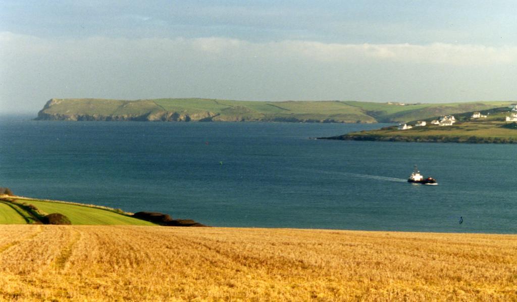 Lellizzick Bed And Breakfast Padstow Bagian luar foto